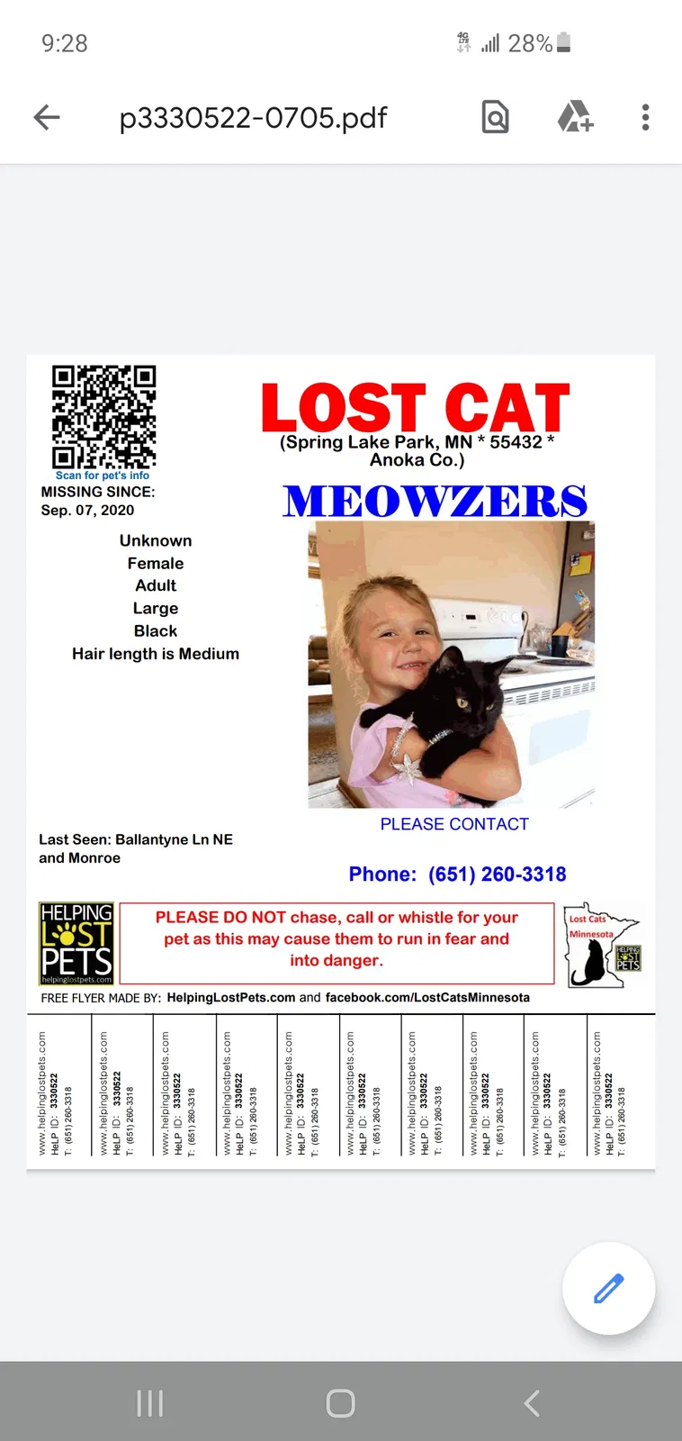 Lost cat in Minneapolis, MN, 55432