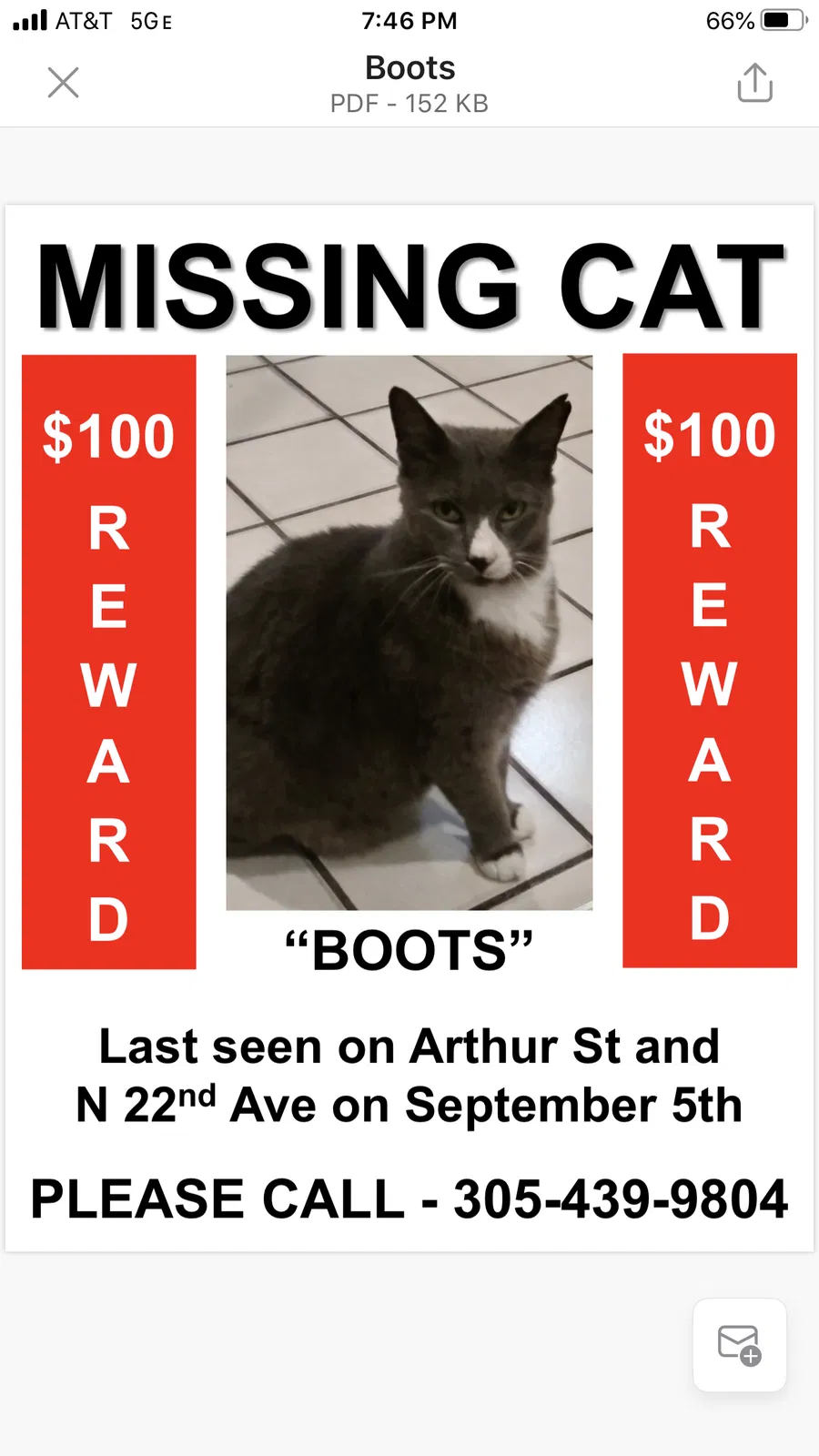 Lost cat in Hollywood, FL, 33020