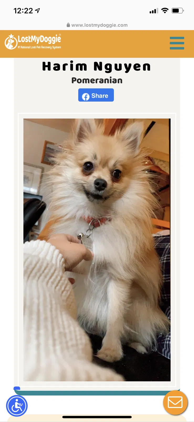 Lost dog in Kenmore, WA, 98028