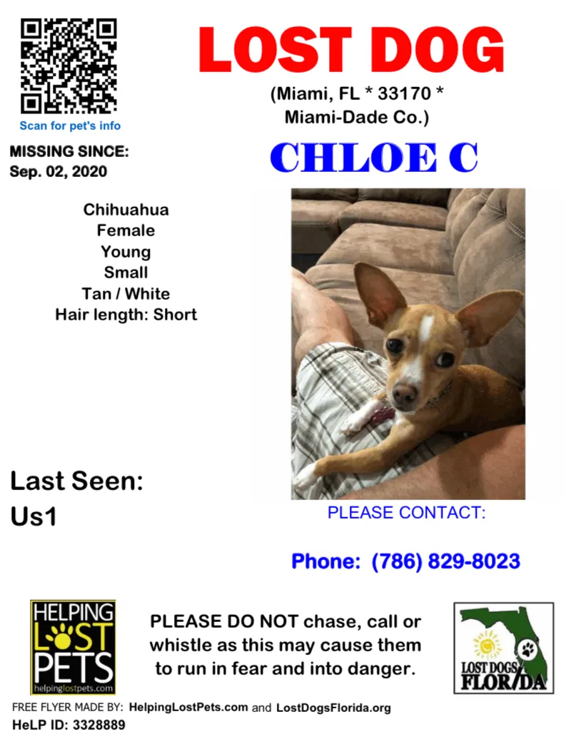 Lost dog in Miami, FL, 33170