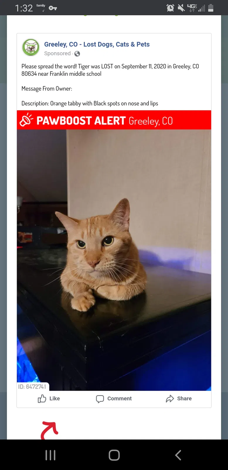 Lost cat in Greeley, CO, 80634