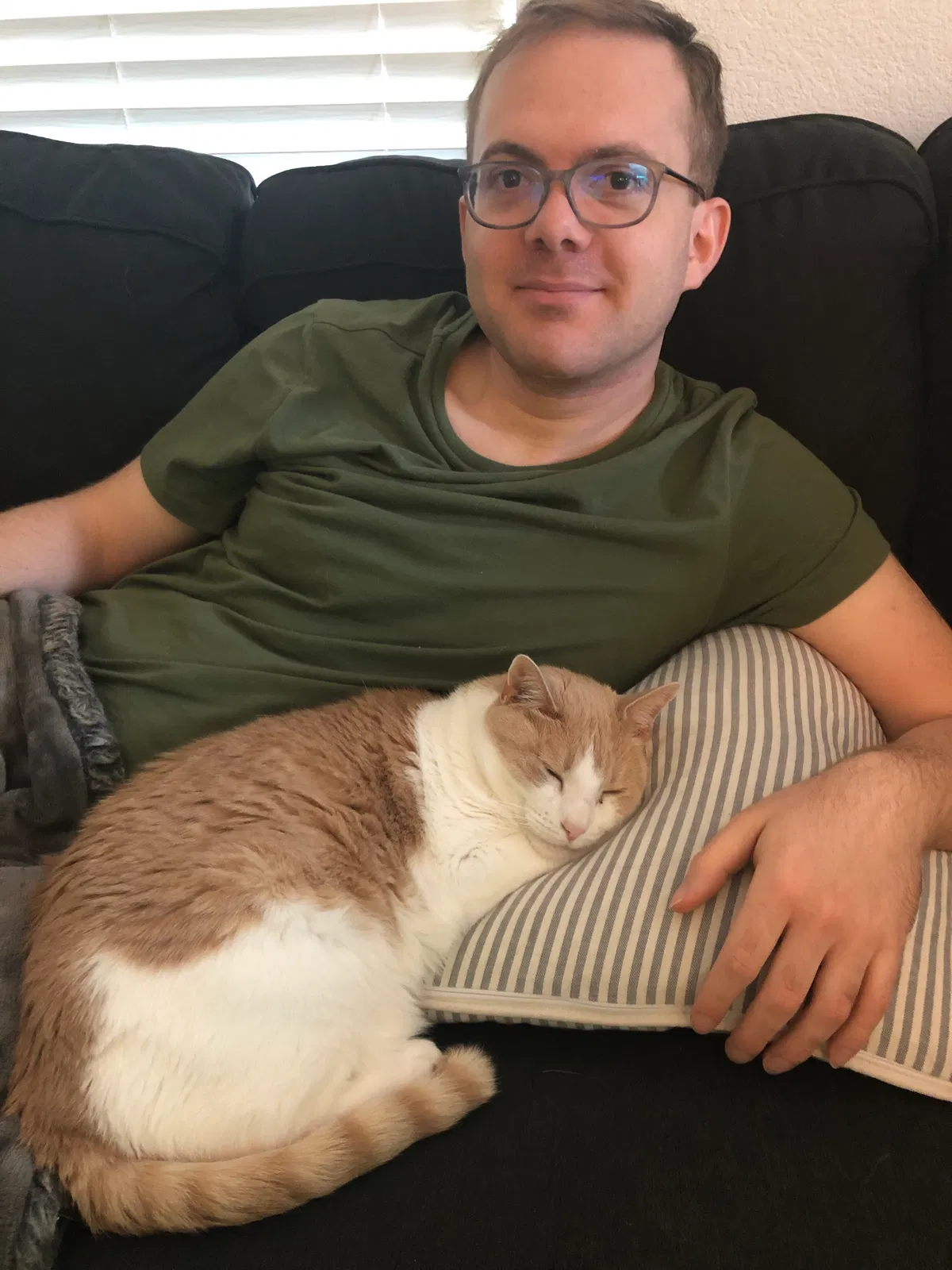 Lost cat in Newport Beach, CA, 92660