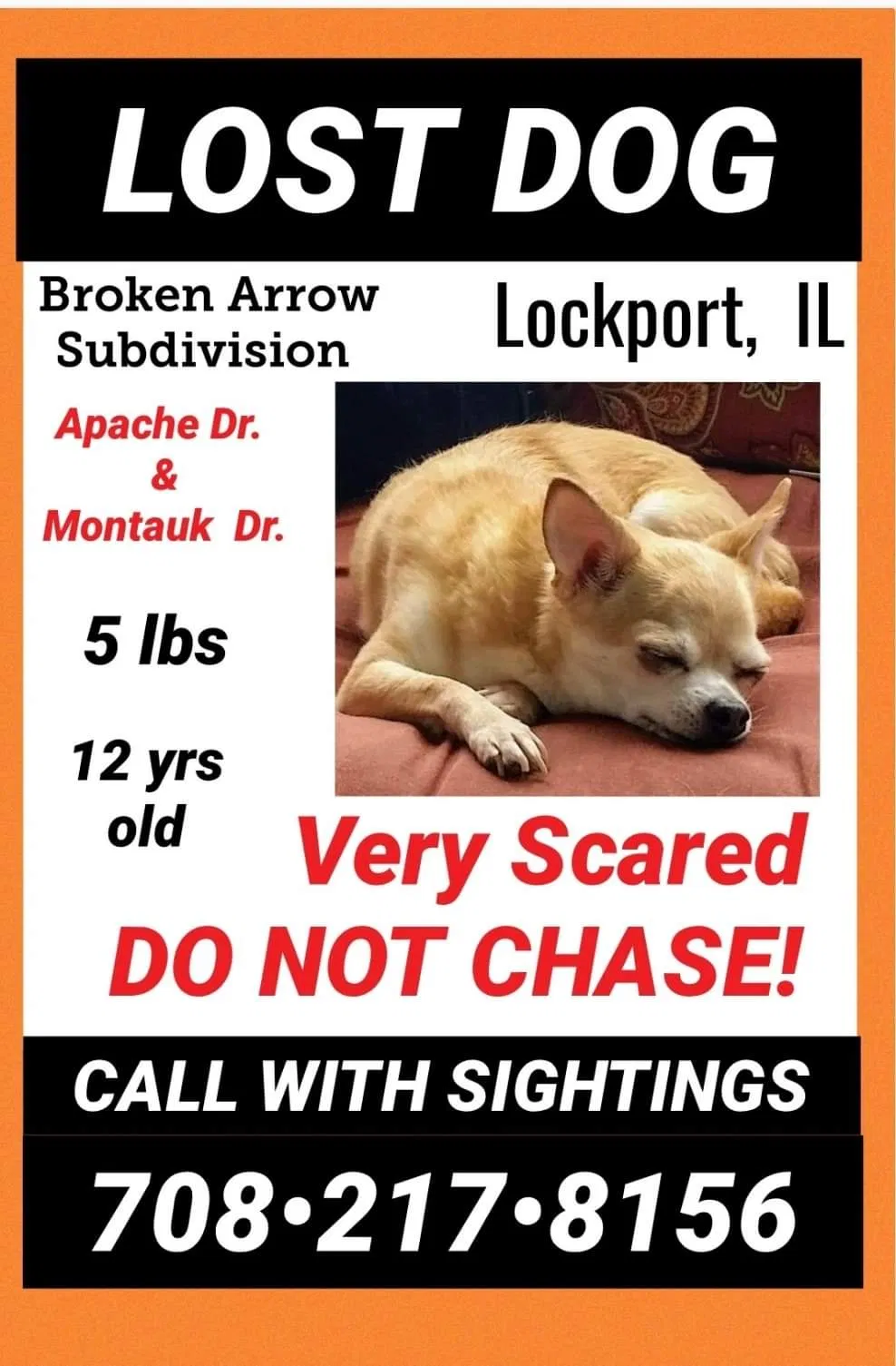 Lost dog in Lockport, IL, 60441