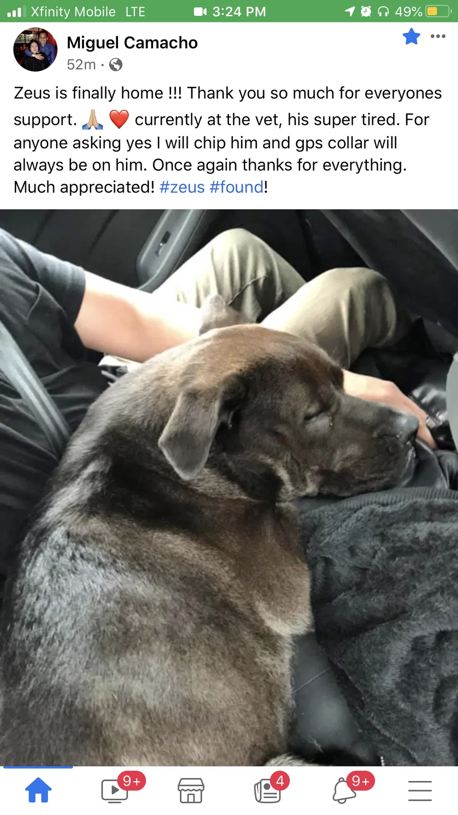 Found dog in Portland, OR, 97220