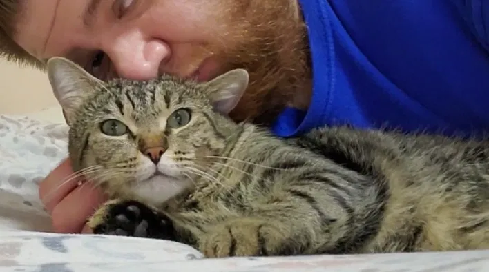 Lost cat in Tucson, AZ, 85756