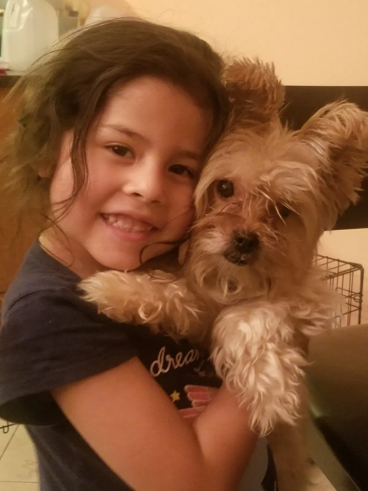 Lost dog in Joliet, IL, 60435