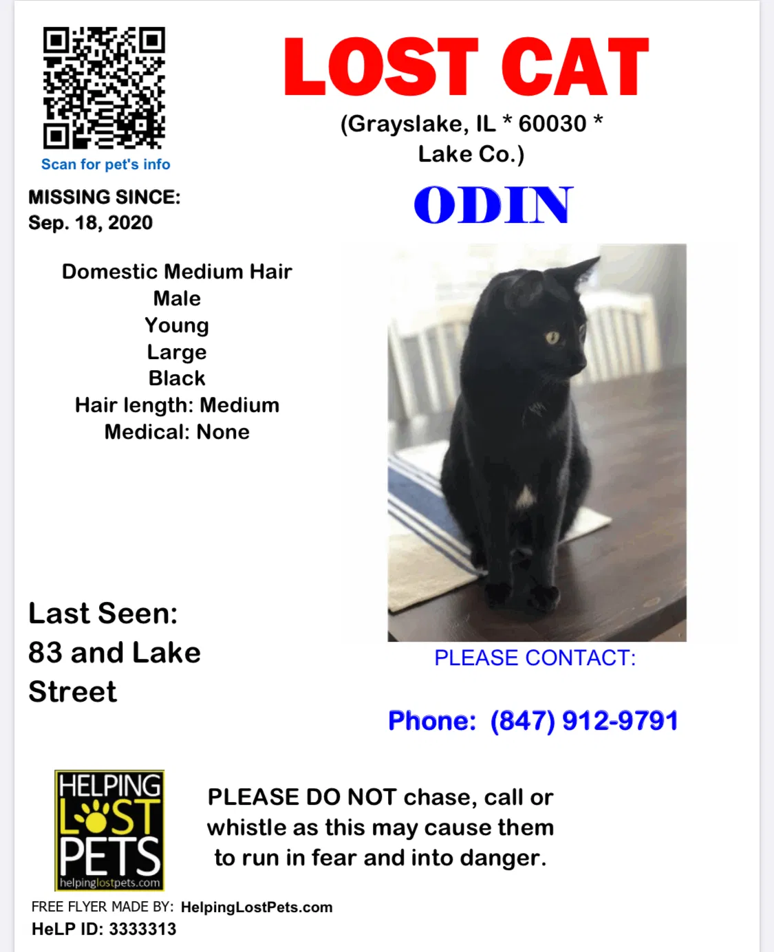 Lost cat in Grayslake, IL, 60030