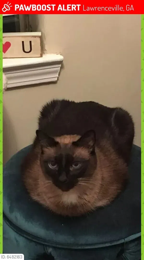 Lost cat in Lawrenceville, GA, 30043