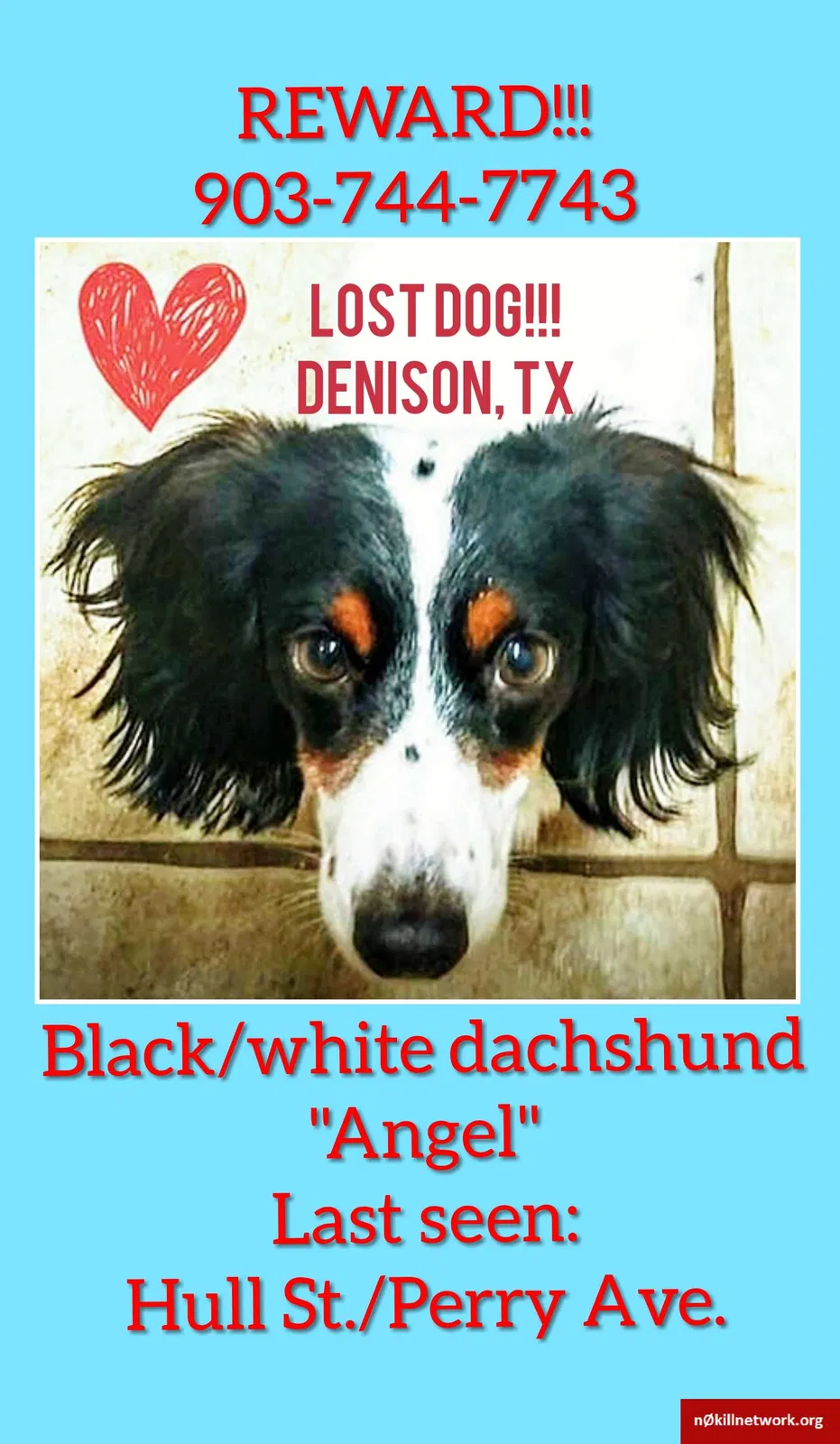 Lost dog in Denison, TX, 75020