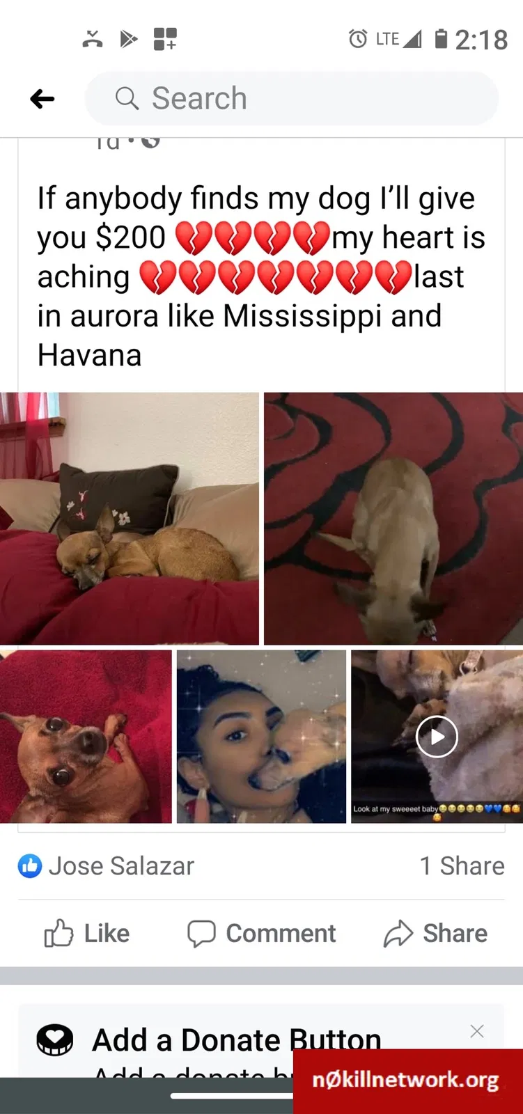Lost dog in Aurora, CO, 80012