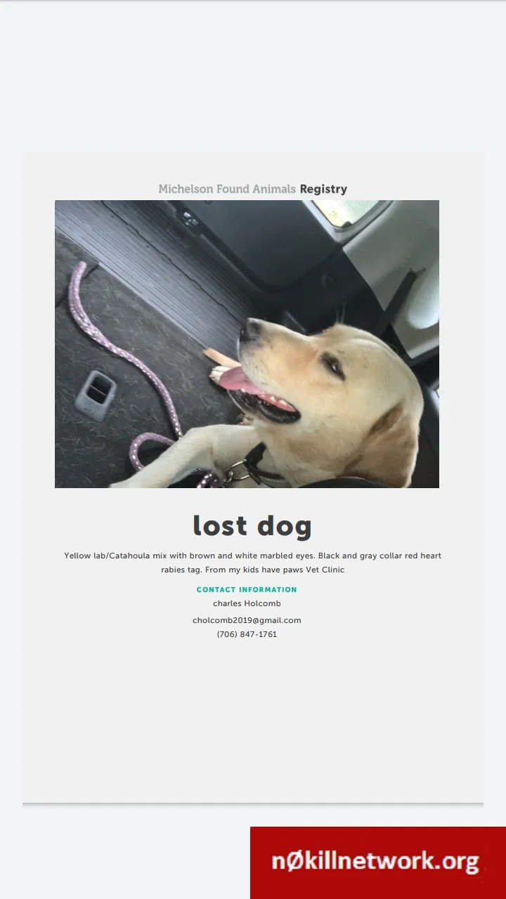 Lost dog in Dalton, GA, 30720