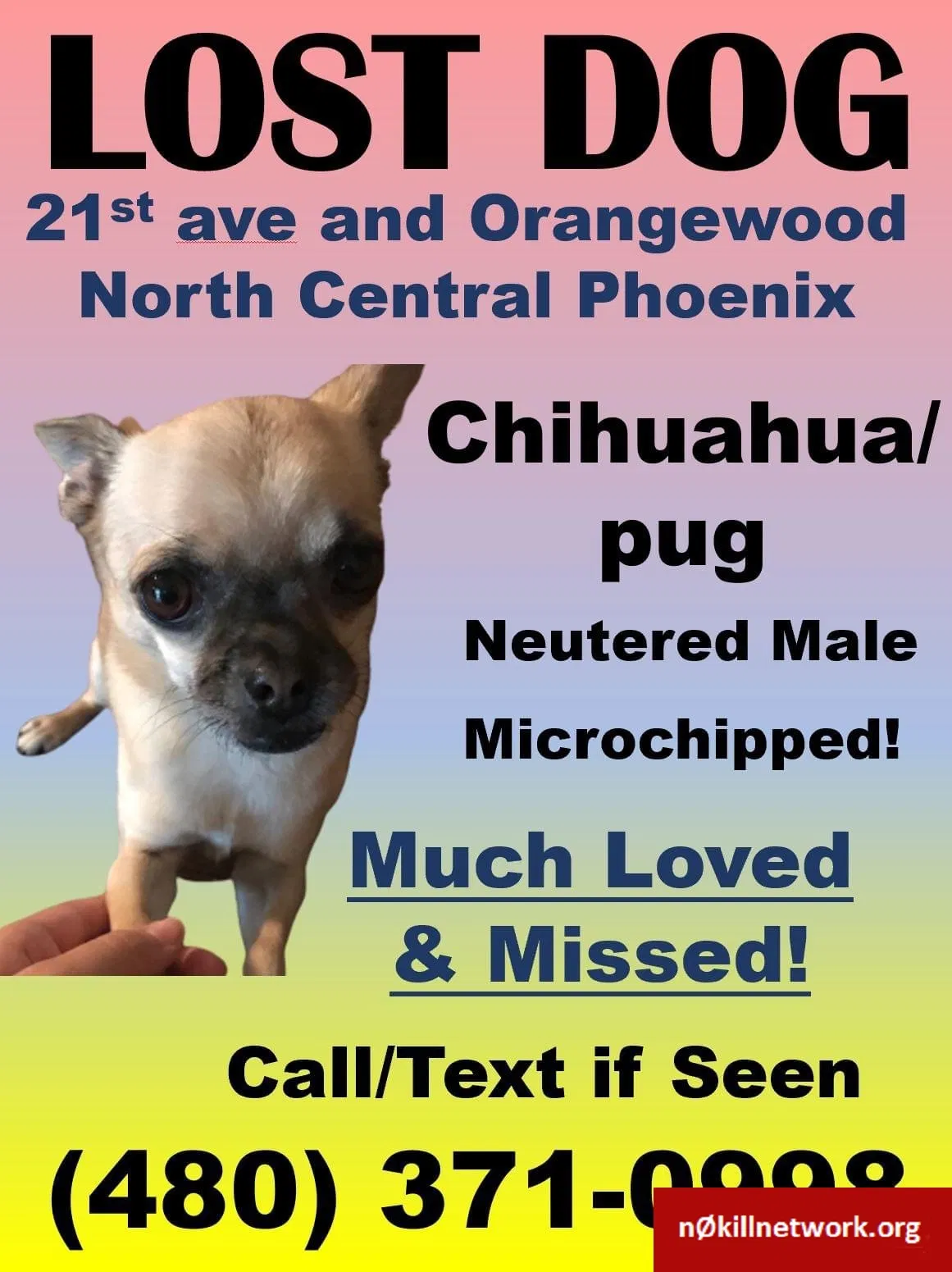 Lost dog in Phoenix, AZ, 85021