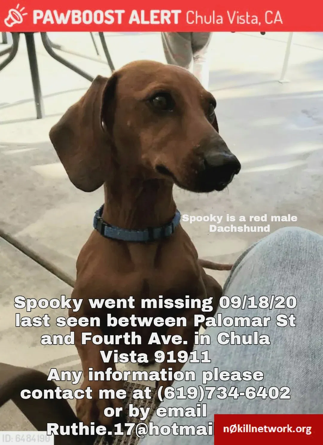 Lost dog in Chula Vista, CA, 91911