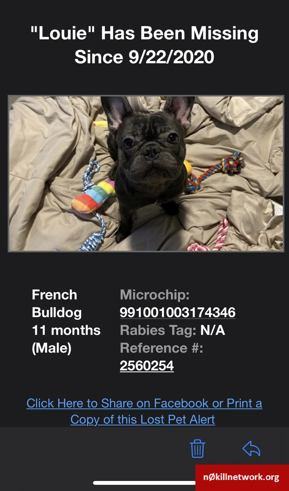Lost dog in Henderson, NV, 89014
