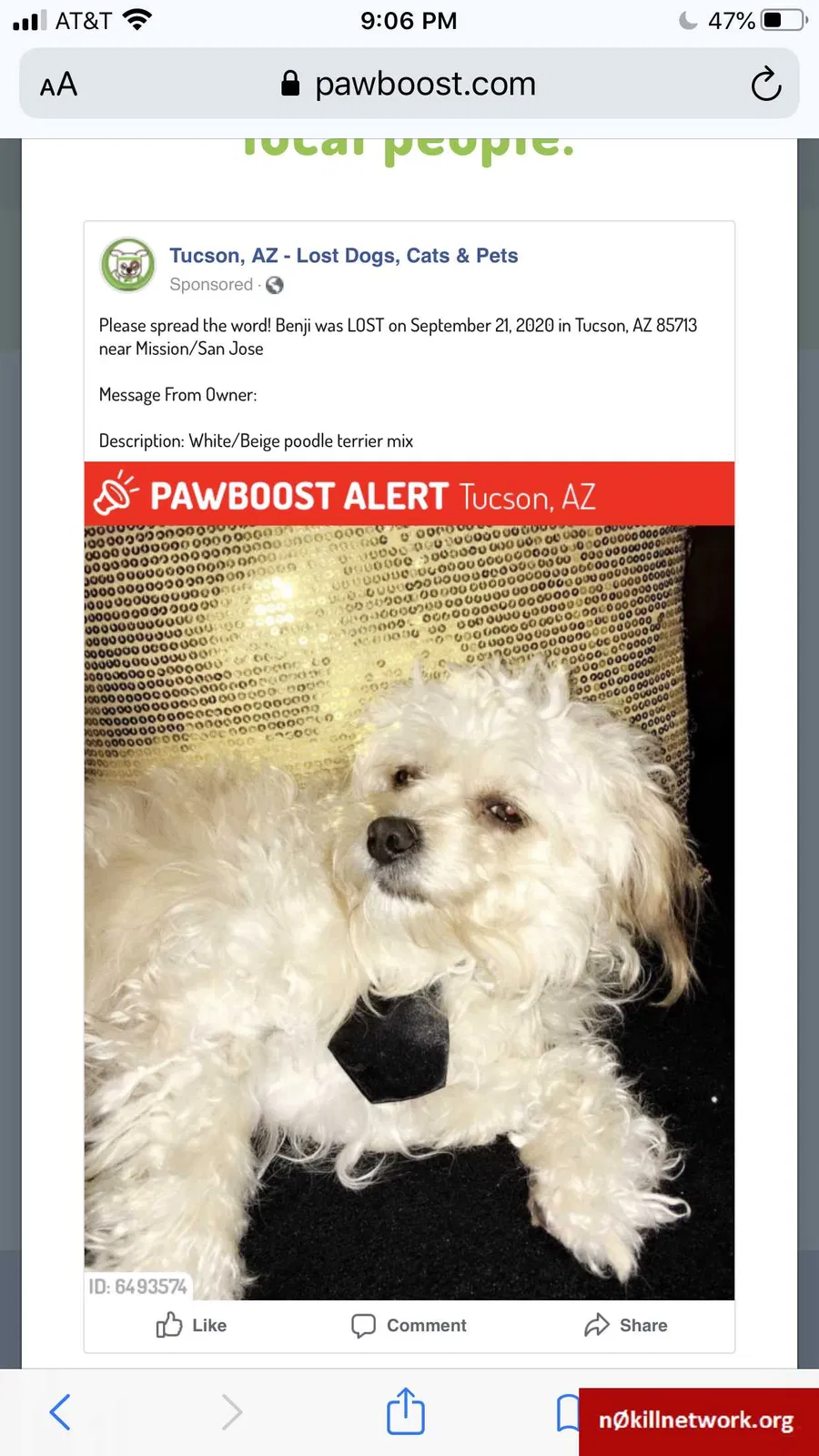 Lost dog in Tucson, AZ, 85713