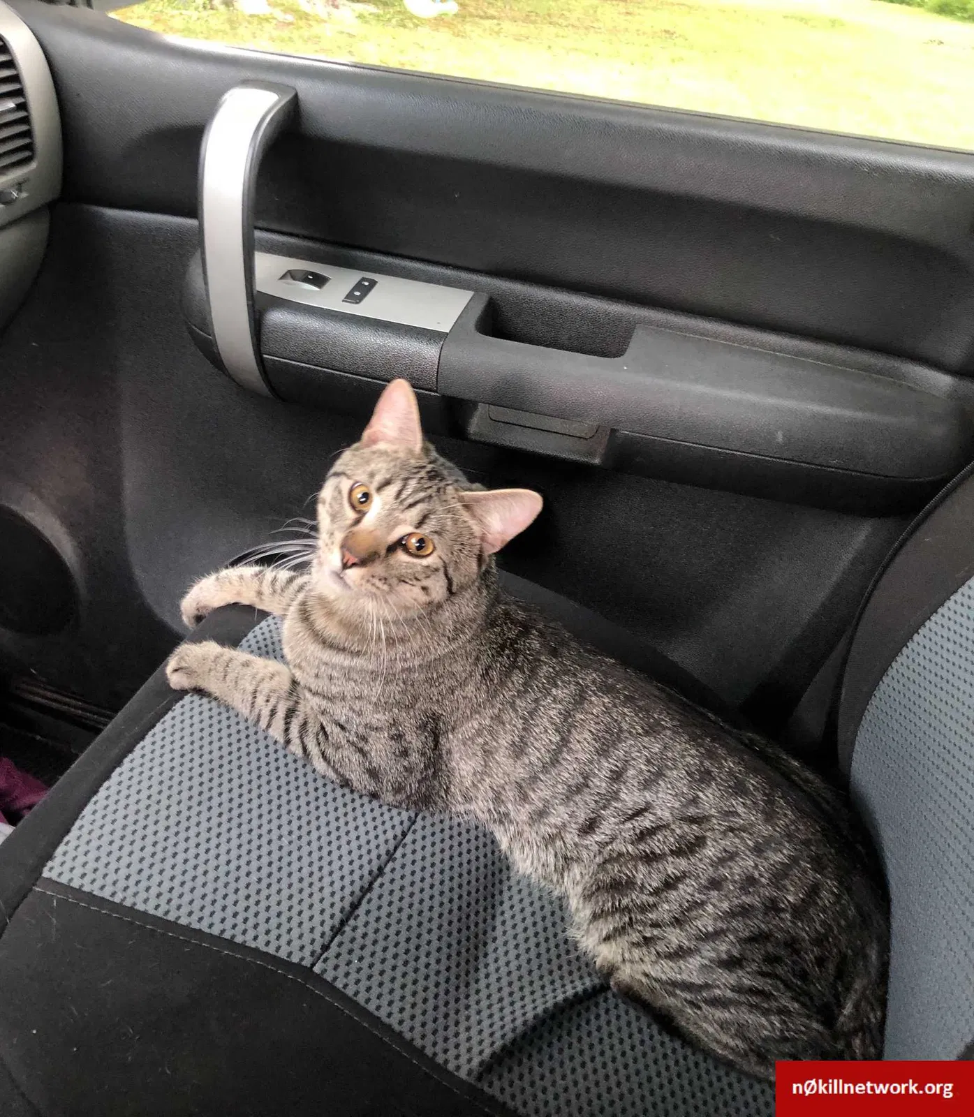 Lost cat in Gardner, MA, 1440