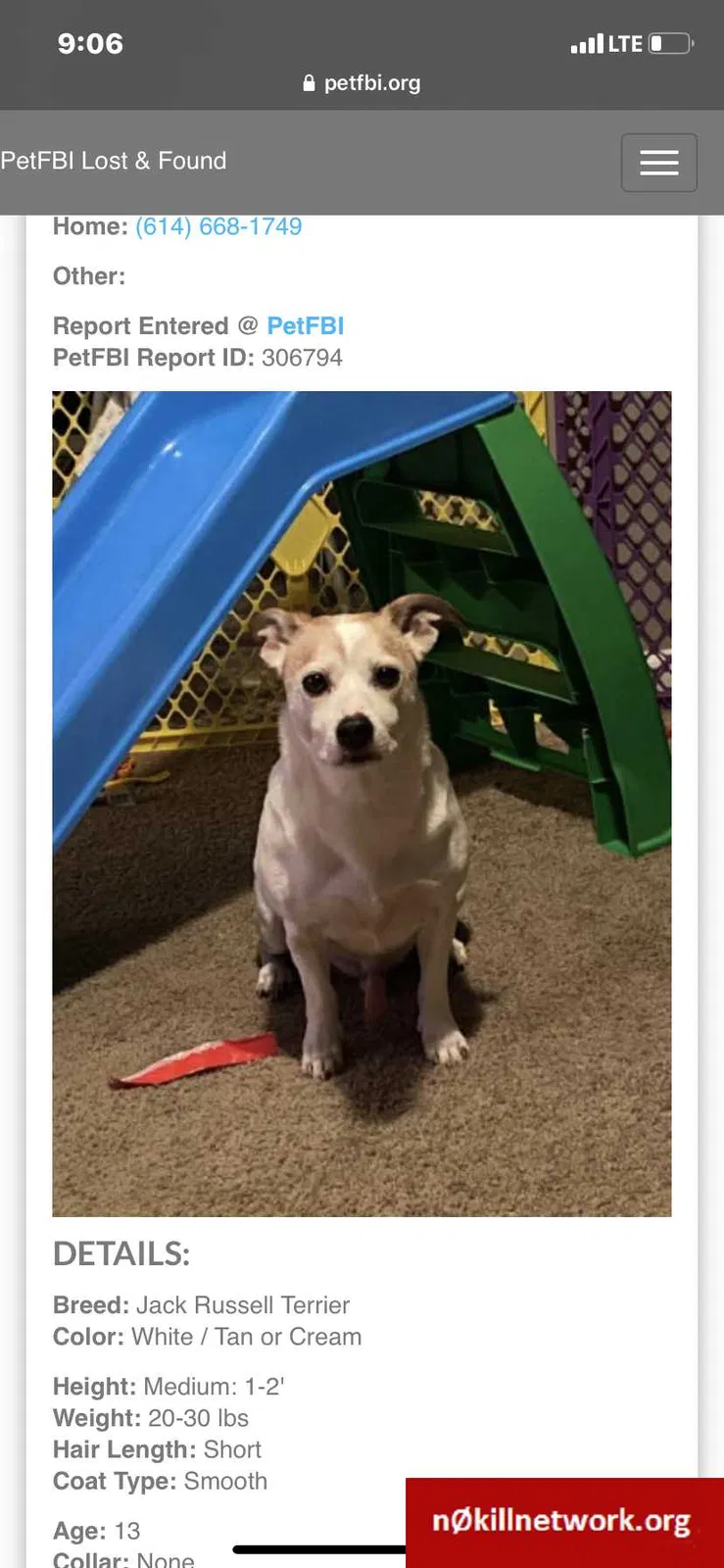 Lost dog in Columbus, OH, 43207