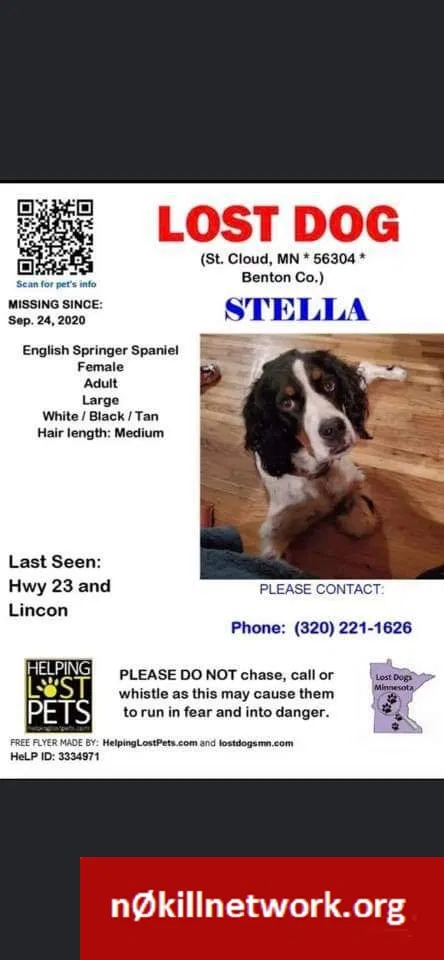 Lost dog in Brainerd, MN, 56401