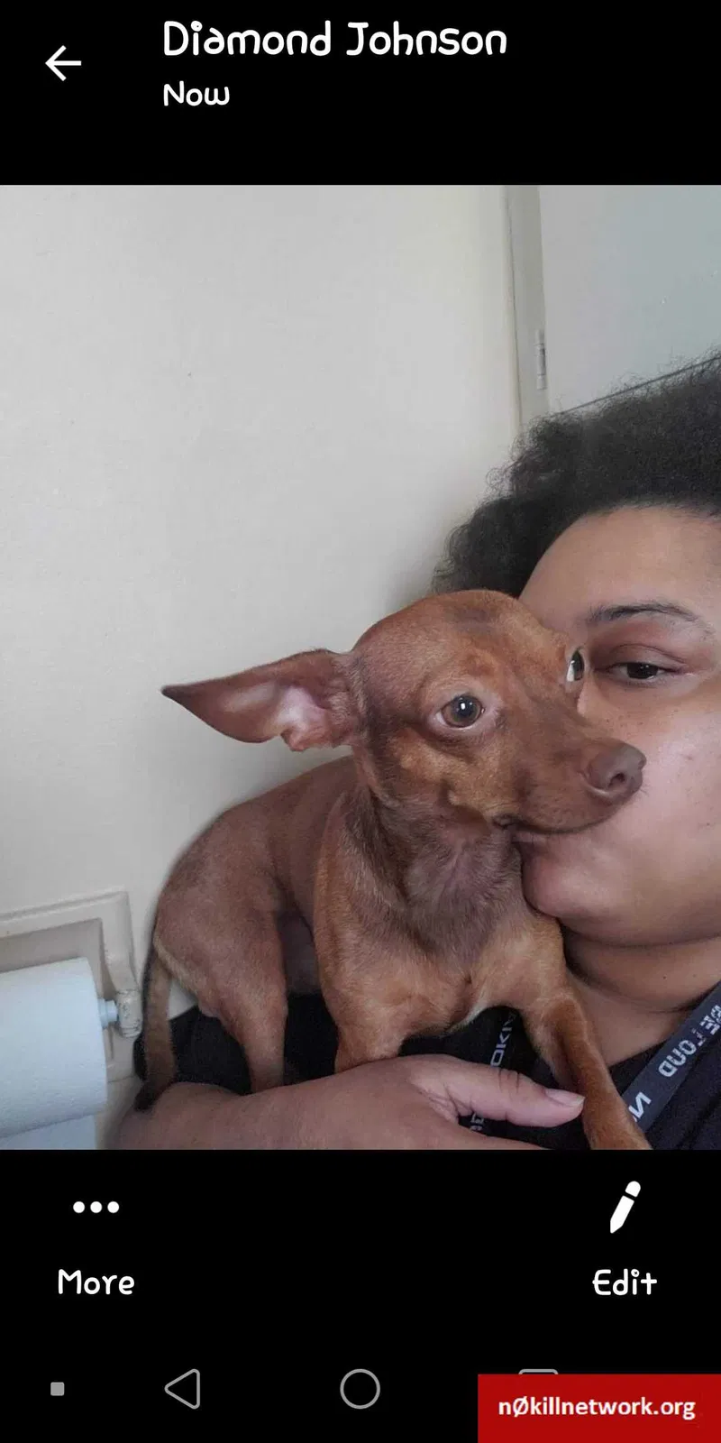 Lost dog in Tulsa, OK, 74115