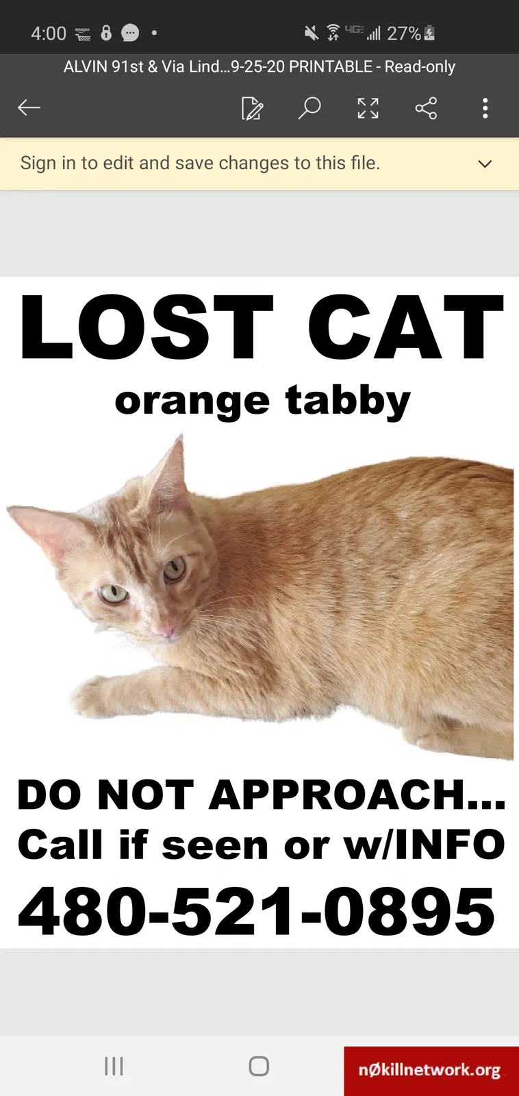 Lost cat in Scottsdale, AZ, 85258