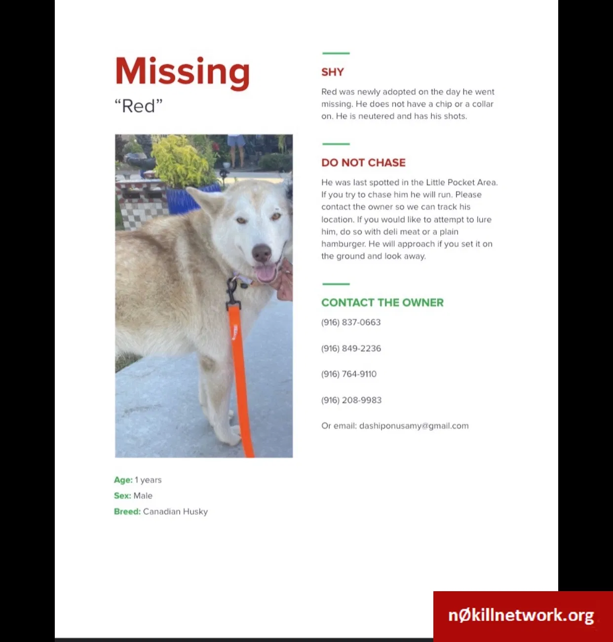 Lost dog in Sacramento, CA, 95831