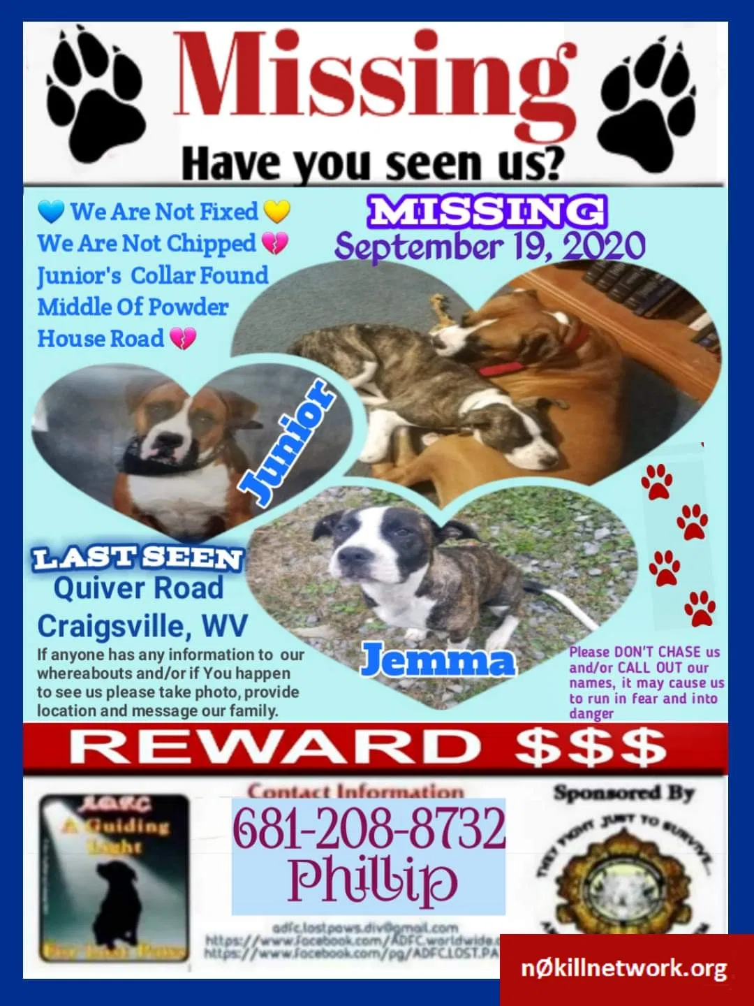 Lost dog in Craigsville, WV, 26205