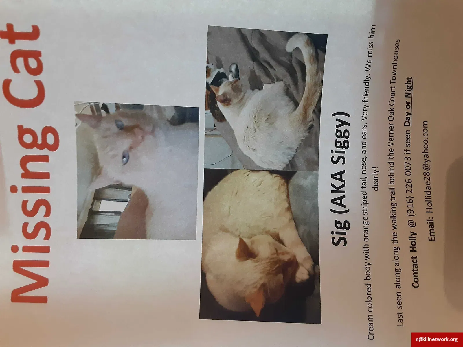 Lost cat in Sacramento, CA, 95841
