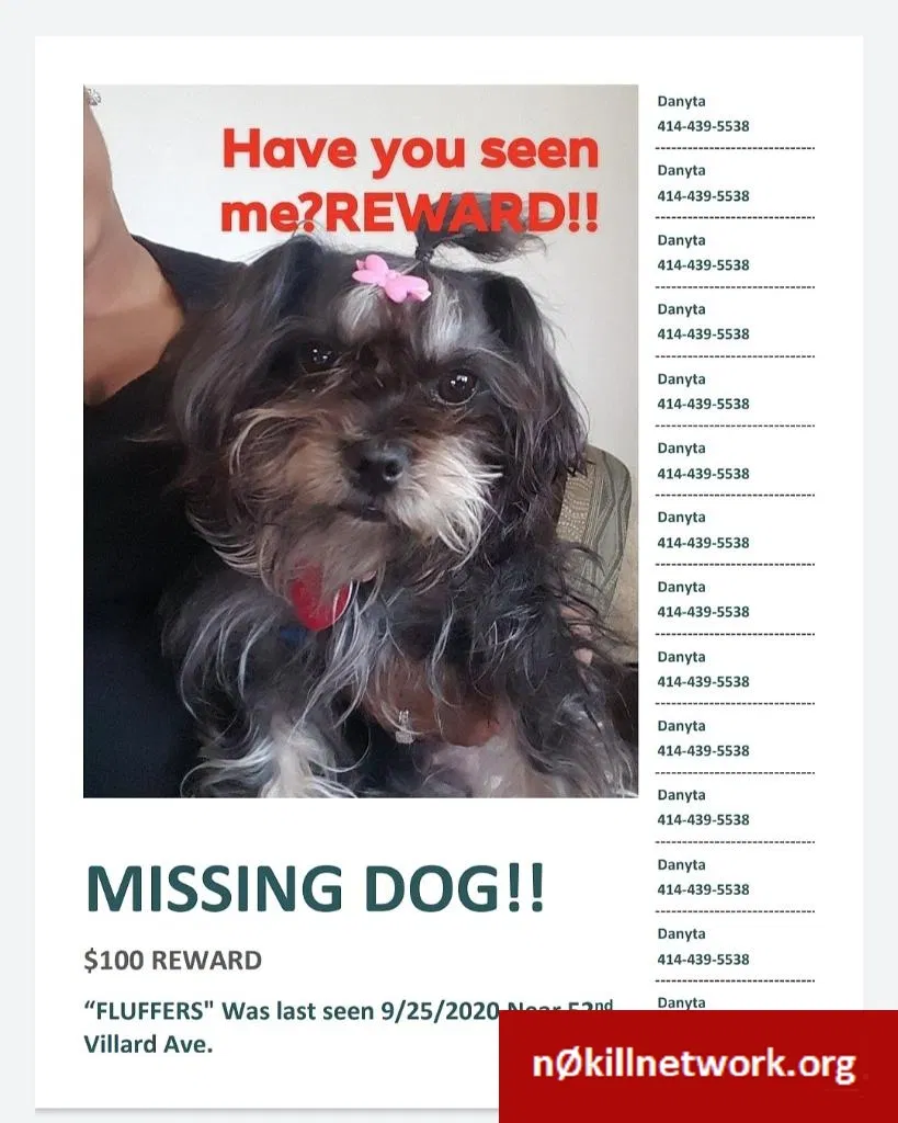 Lost dog in Milwaukee, WI, 53218