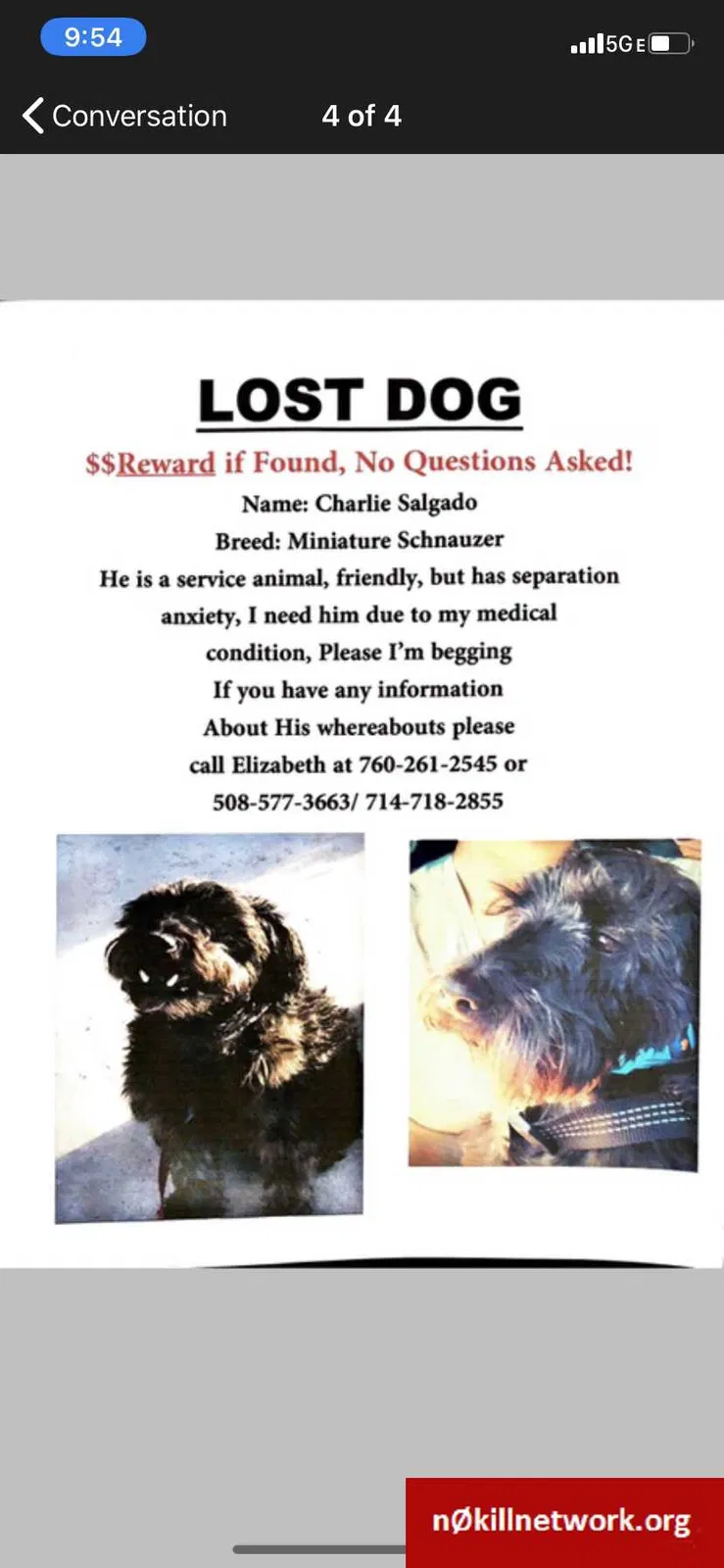 Lost dog in Garden Grove, CA, 92840