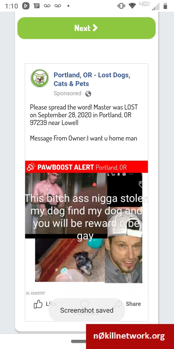 Lost dog in Portland, OR, 97239