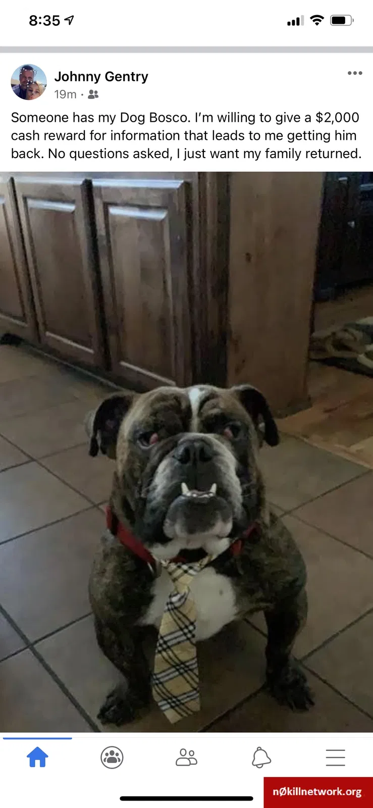 Lost dog in Keller, TX, 76244