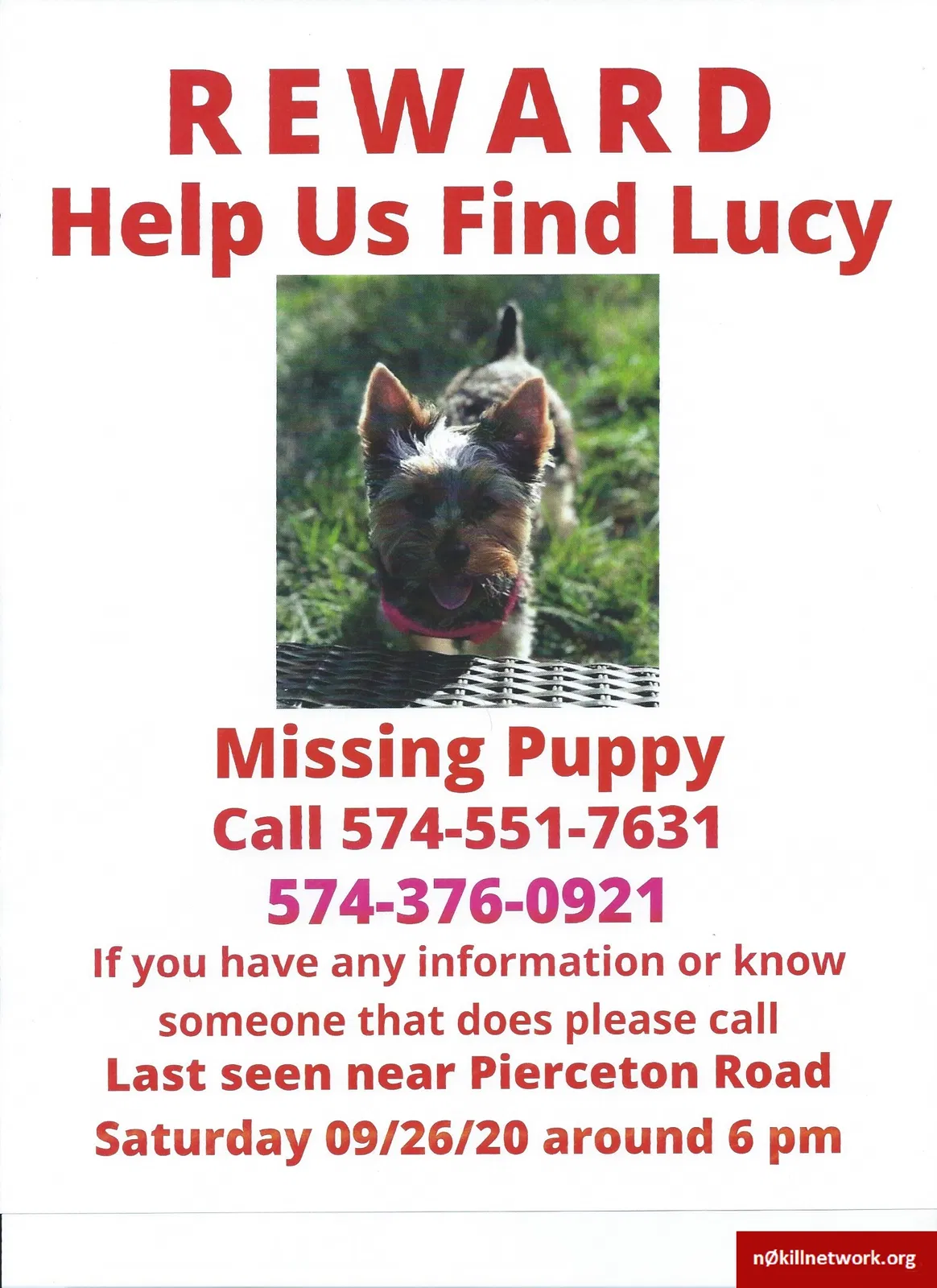 Lost dog in Winona Lake, IN, 46590