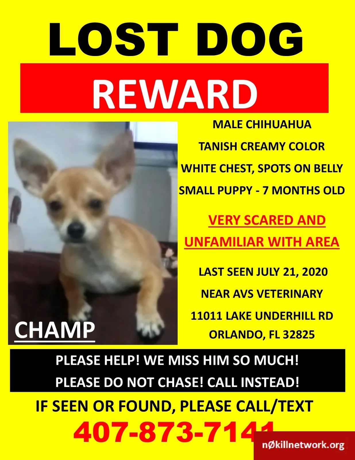 Lost dog in Unknown, FL, 0