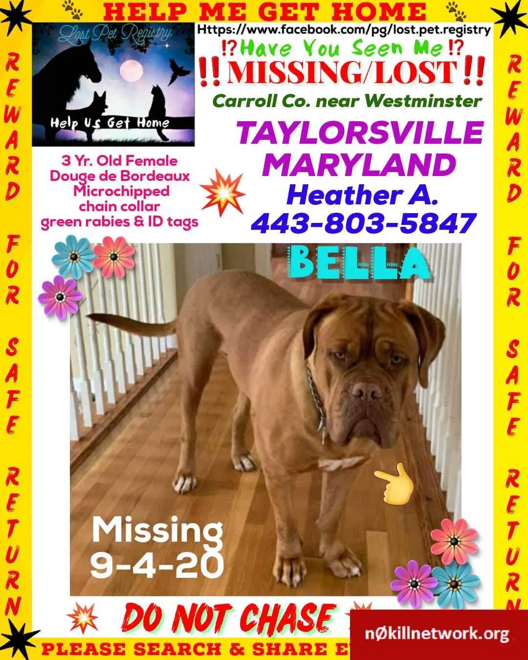 Lost dog in Westminster, MD, 21157