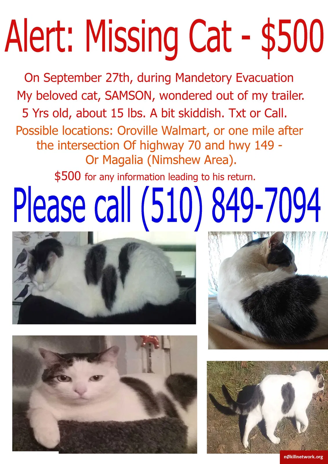 Lost cat in Oroville, CA, 95965