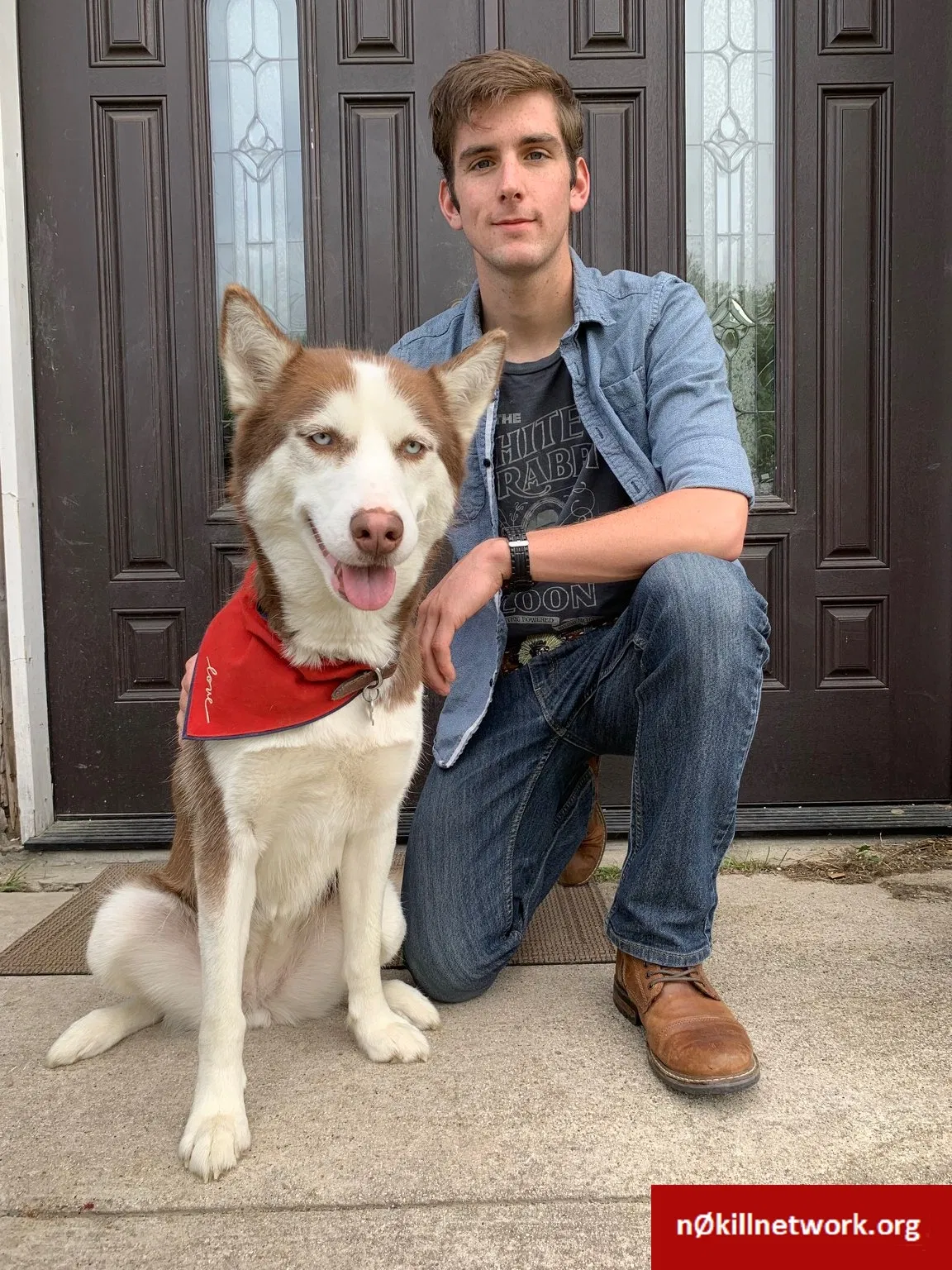 Lost dog in Georgetown, TX, 78633