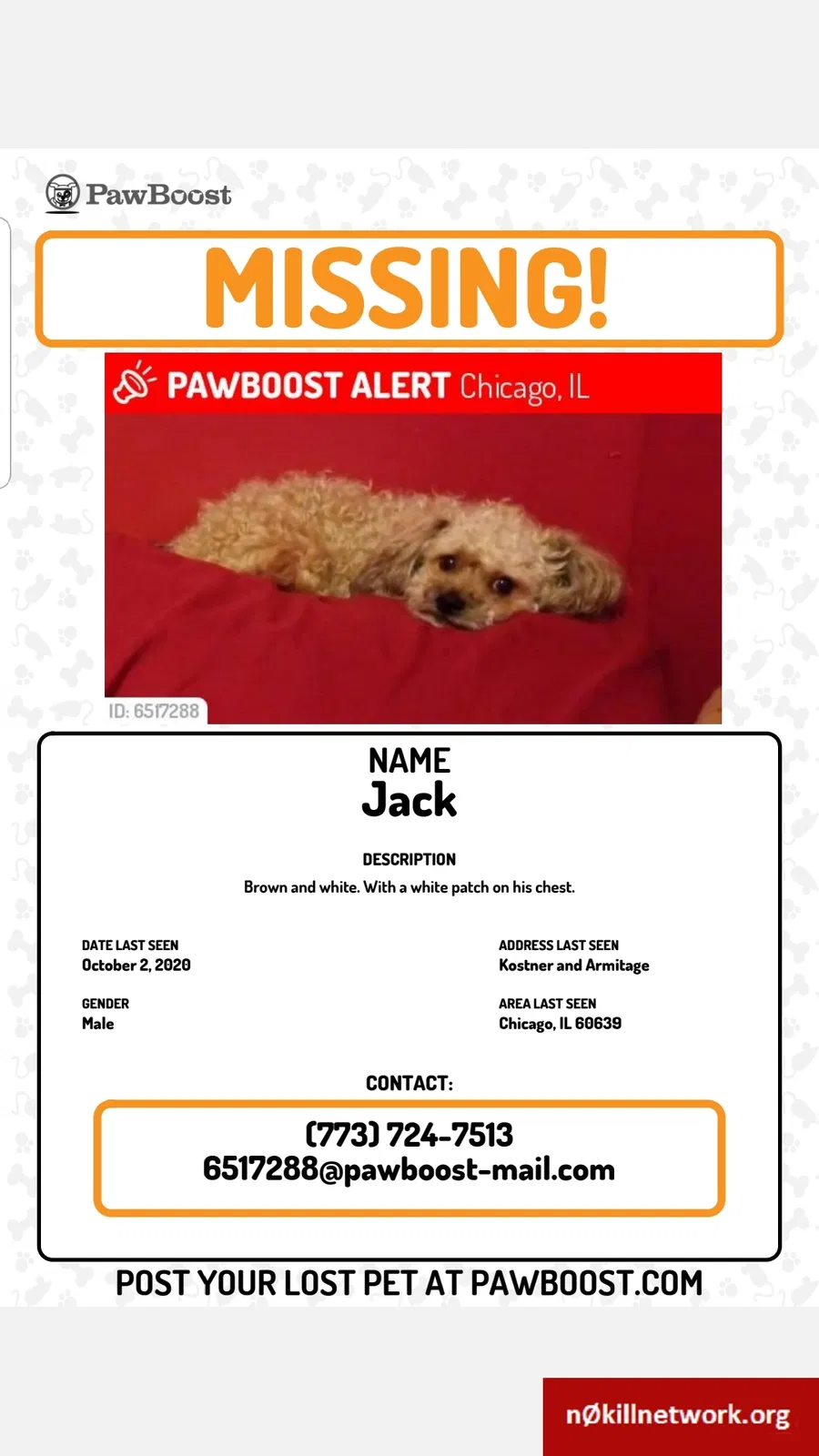 Lost dog in Chicago, IL, 60639