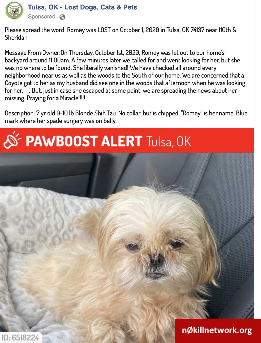 Lost dog in Tulsa, OK, 74137