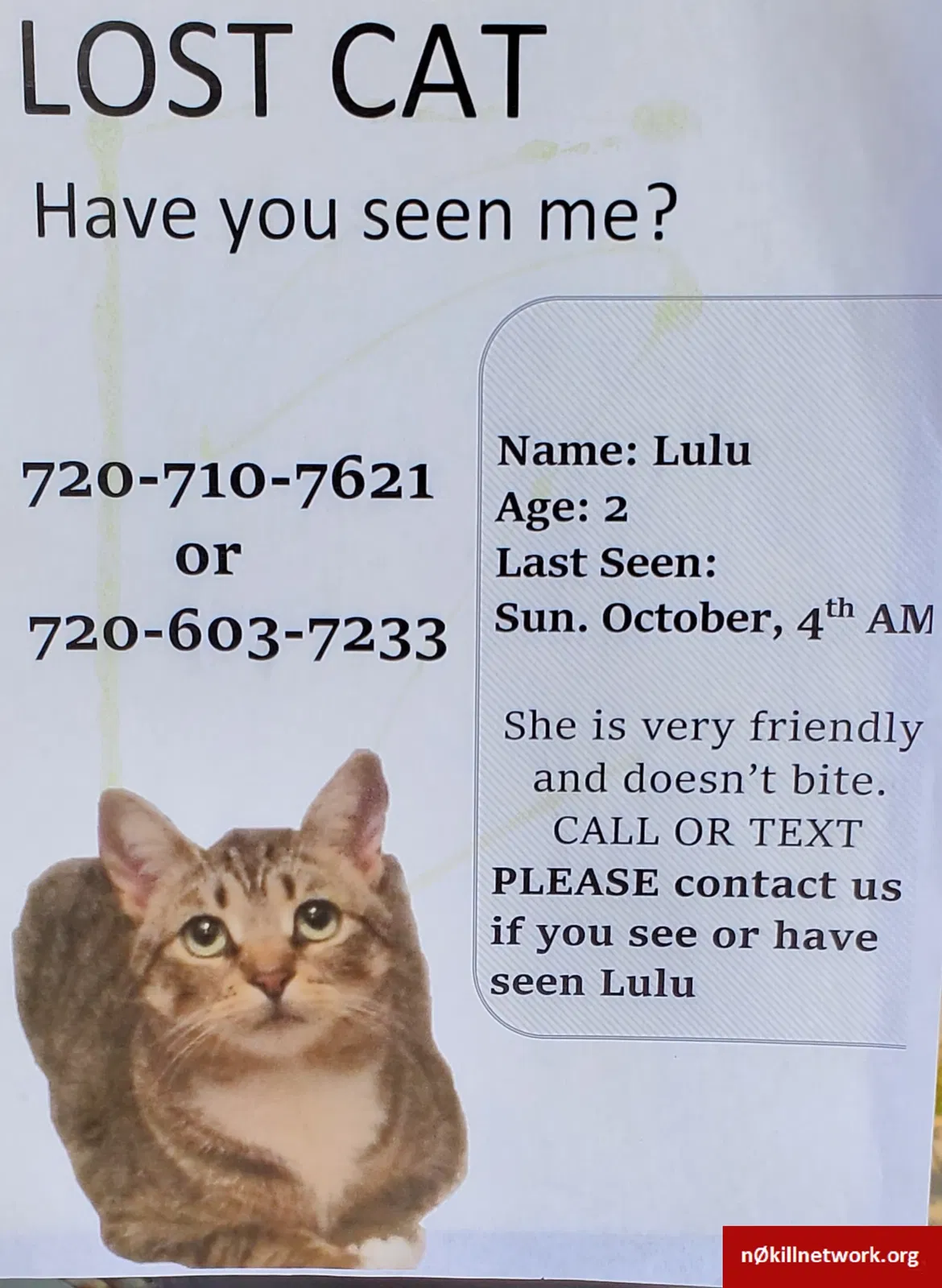 Lost cat in Littleton, CO, 80130