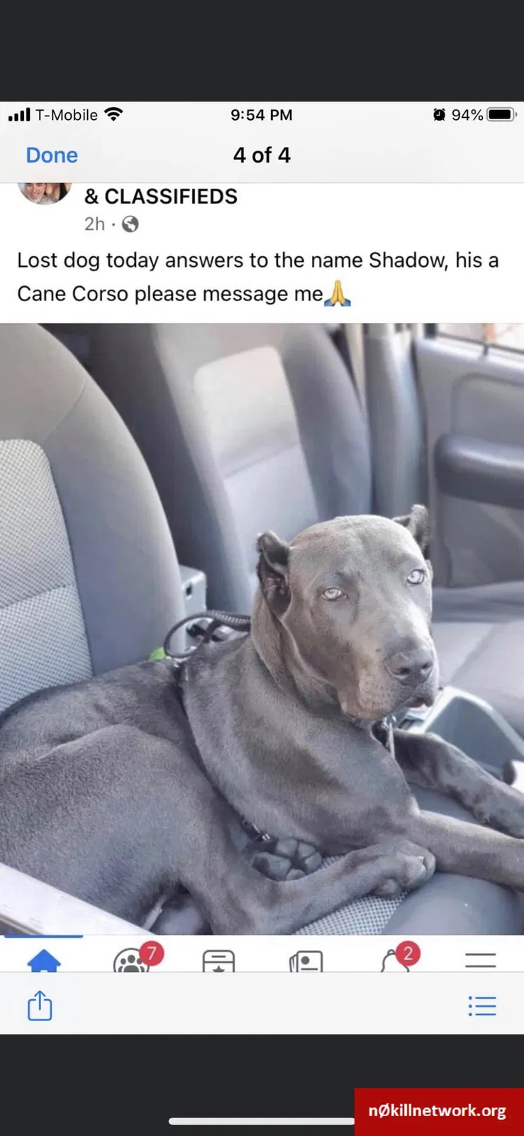 Lost dog in Jamul, CA, 91935