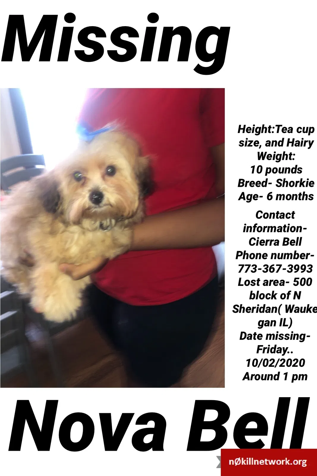 Lost dog in Waukegan, IL, 60085