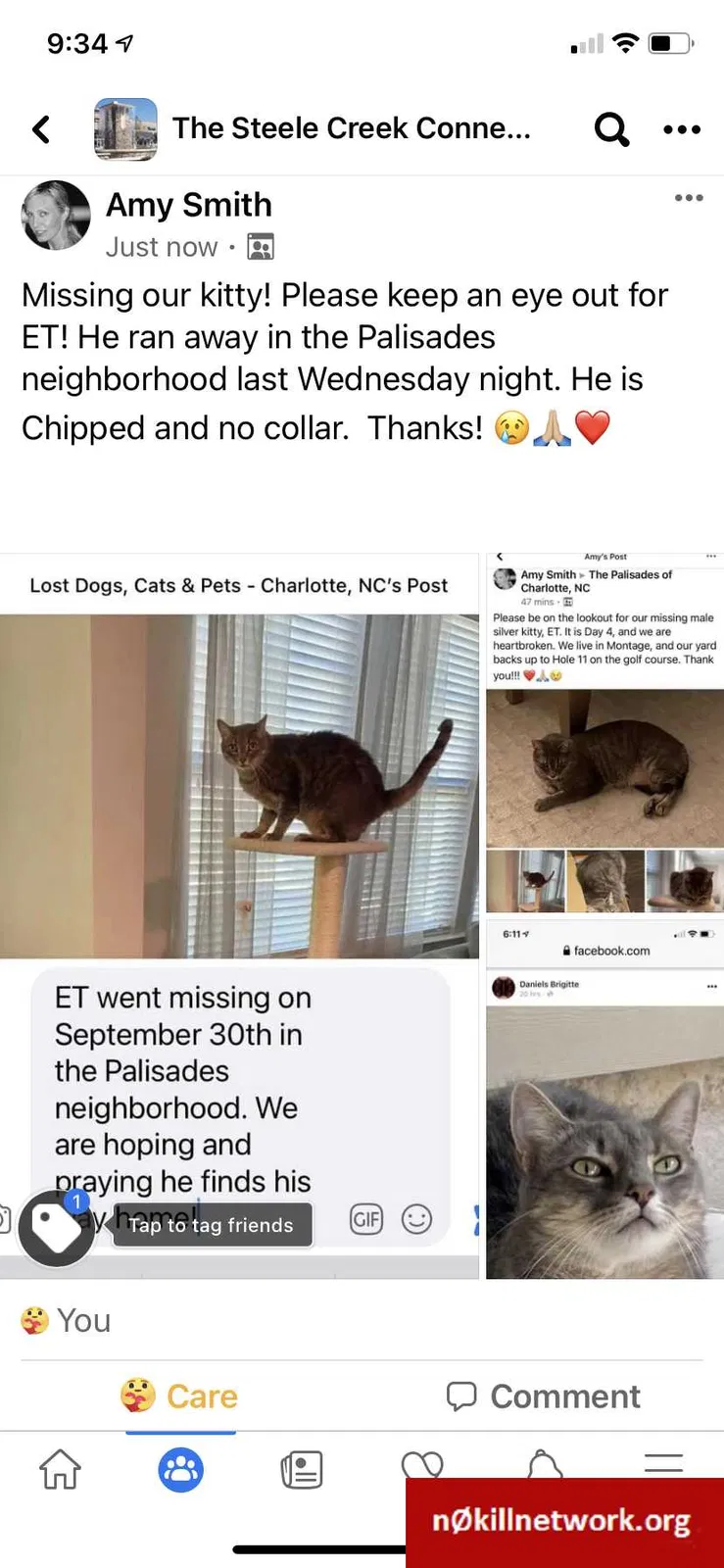 Lost cat in Charlotte, NC, 28278