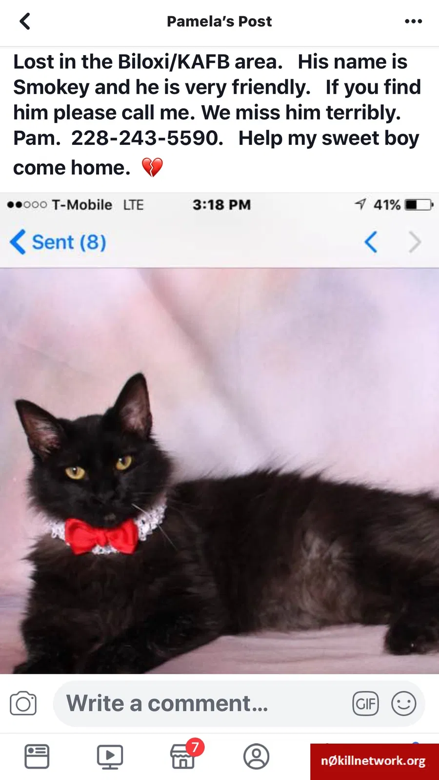 Lost cat in Biloxi, MS, 39530