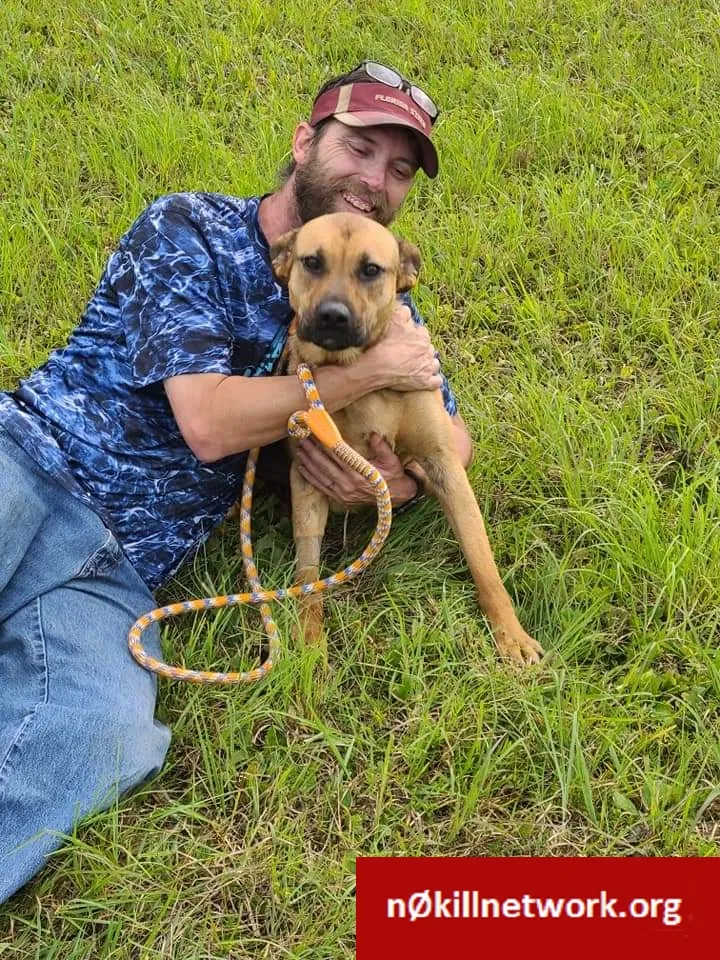 Lost dog in Rossville, GA, 30741