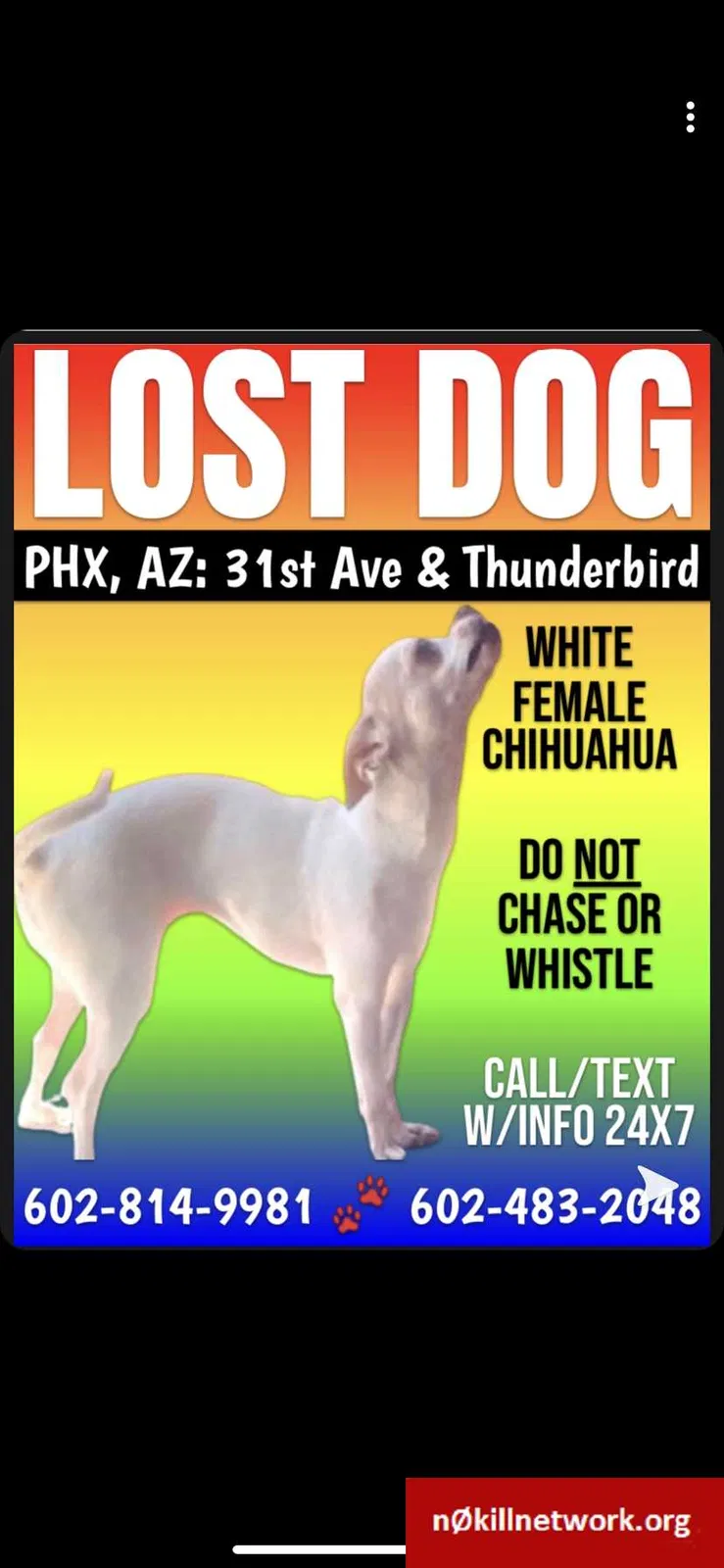 Lost dog in Phoenix, AZ, 85053