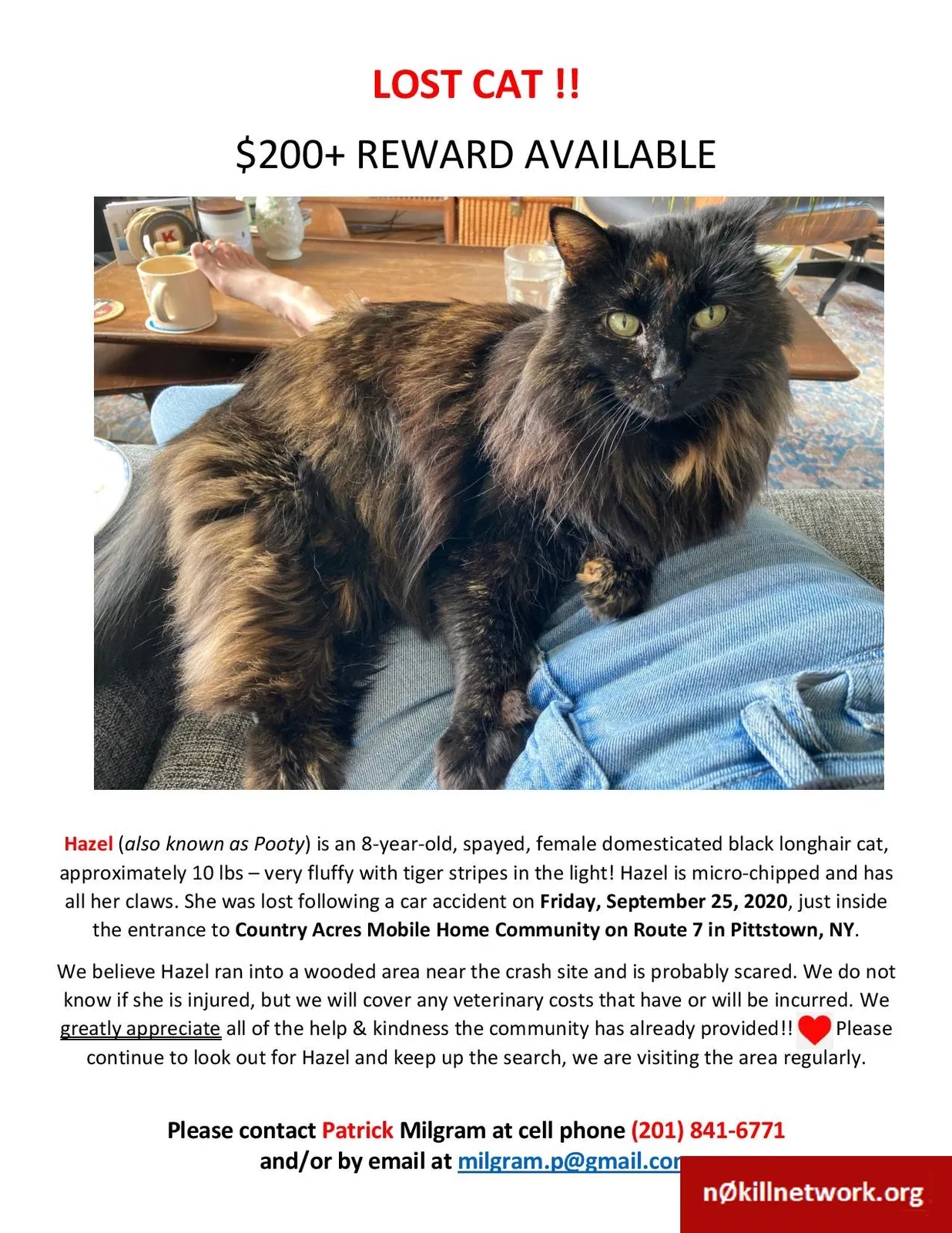 Lost cat in Valley Falls, NY, 12185