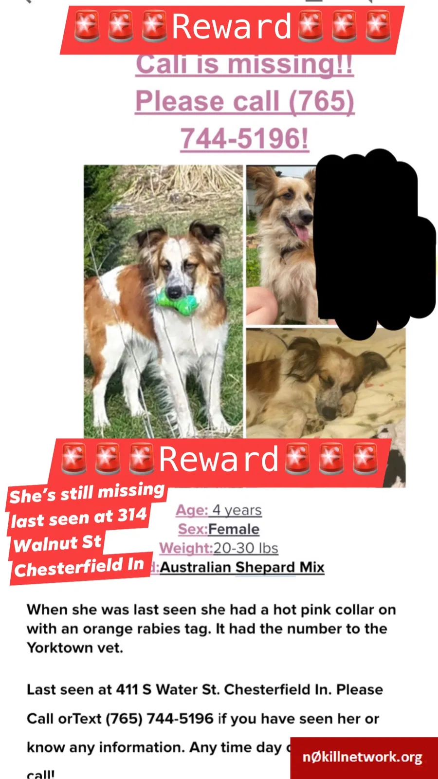Lost dog in Anderson, IN, 46017