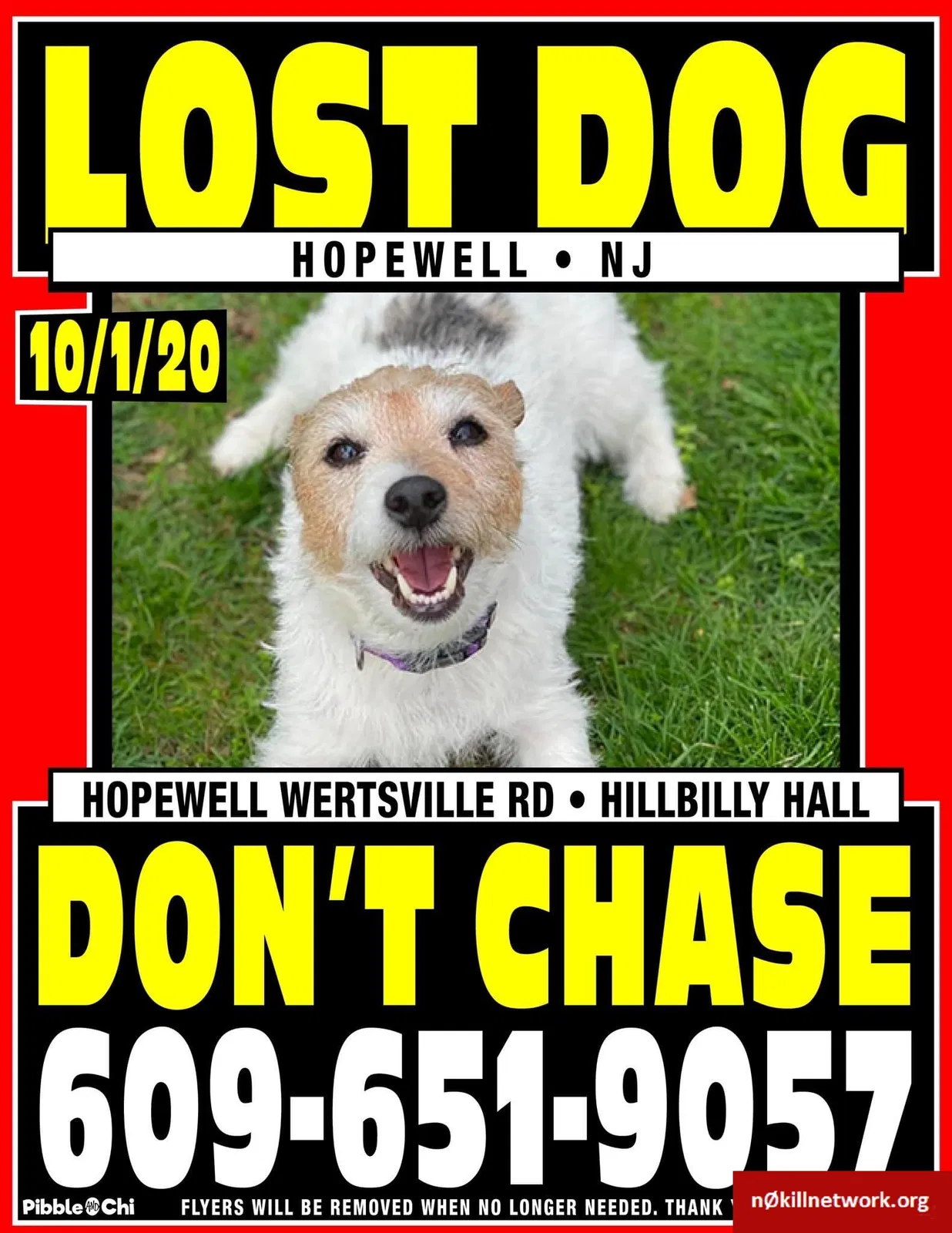 Lost dog in Hopewell, NJ, 8525