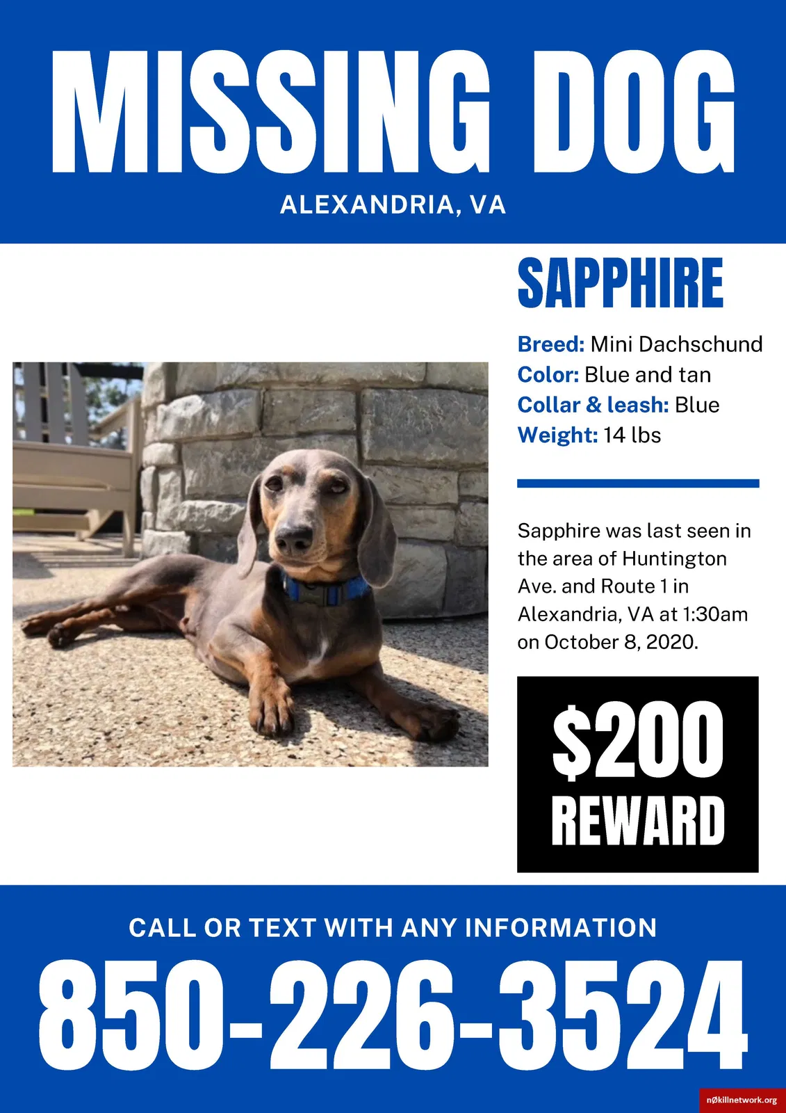 Lost dog in Alexandria, VA, 22307
