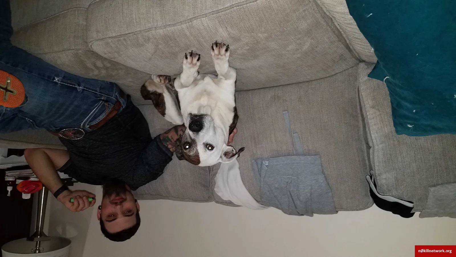 Lost dog in Hattiesburg, MS, 39401